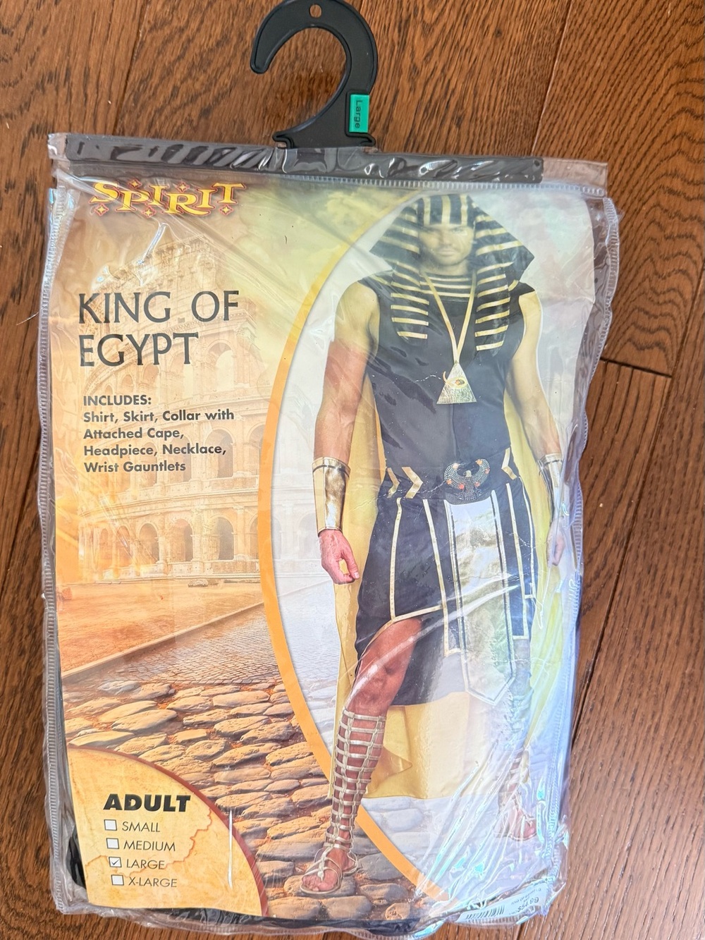 Spirit King of Egypt Costume - men’s large